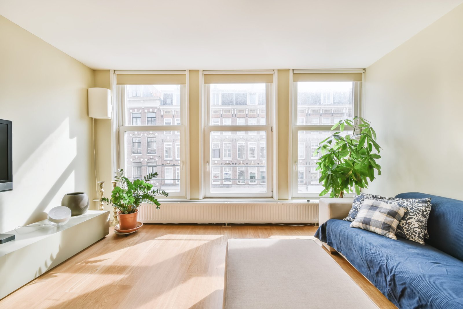 Cozy and bright living room in luxury apartment